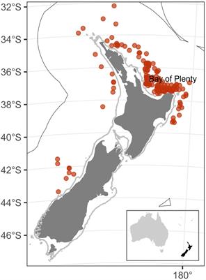 Increased captures of the critically endangered leatherback turtle (Dermochelys coriacea) around New Zealand: the contribution of warming seas and fisher behavior